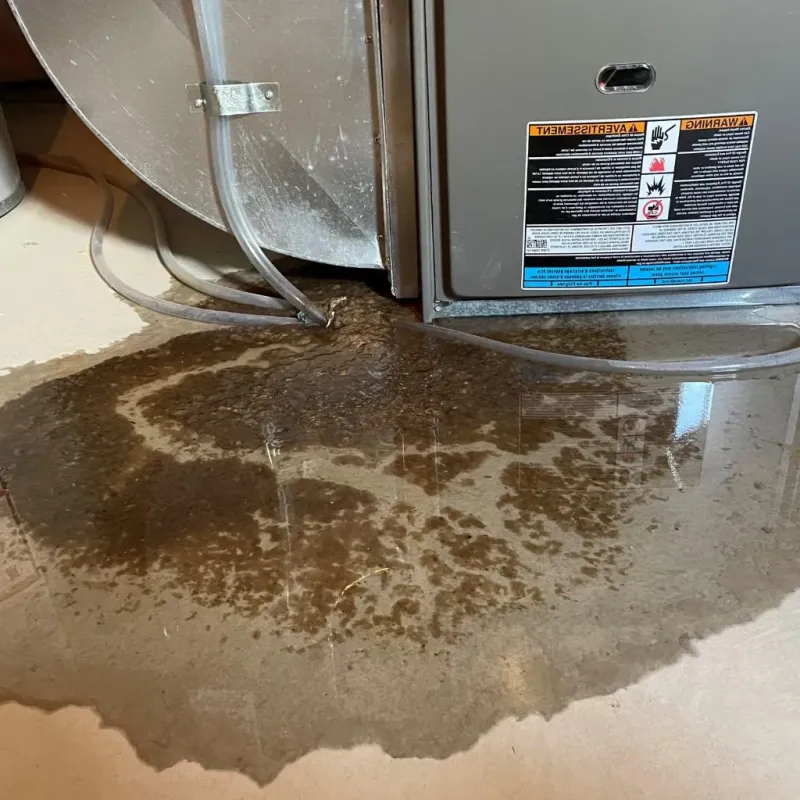 Pipe Burst and Leak Restoration in Othello, WA